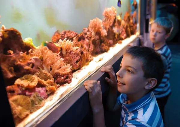 SEA LIFE Scarborough
