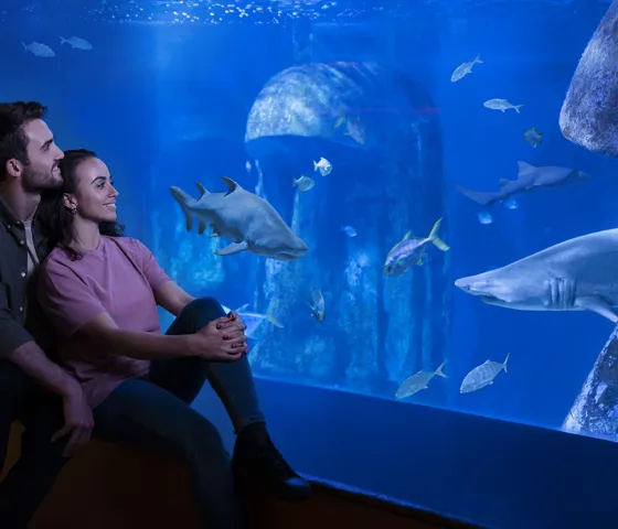 SEA LIFE London