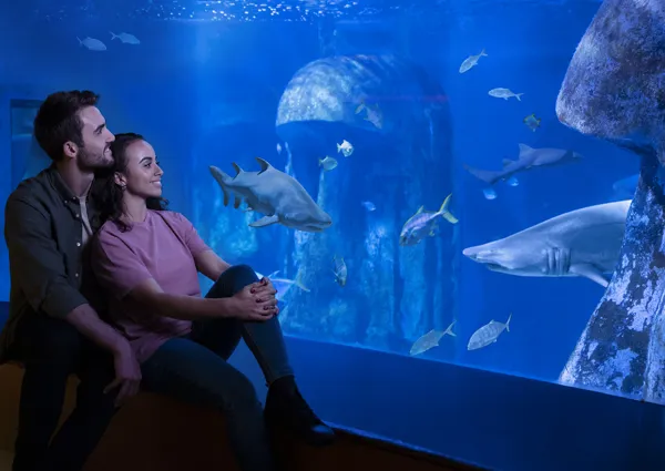 SEA LIFE London