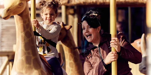 The Chessington Adventure Tree (21) Copy