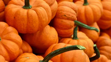 Pumpkins