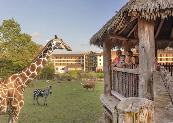 15 Off At Go Ape Chessington Merlin Passholder Perks
