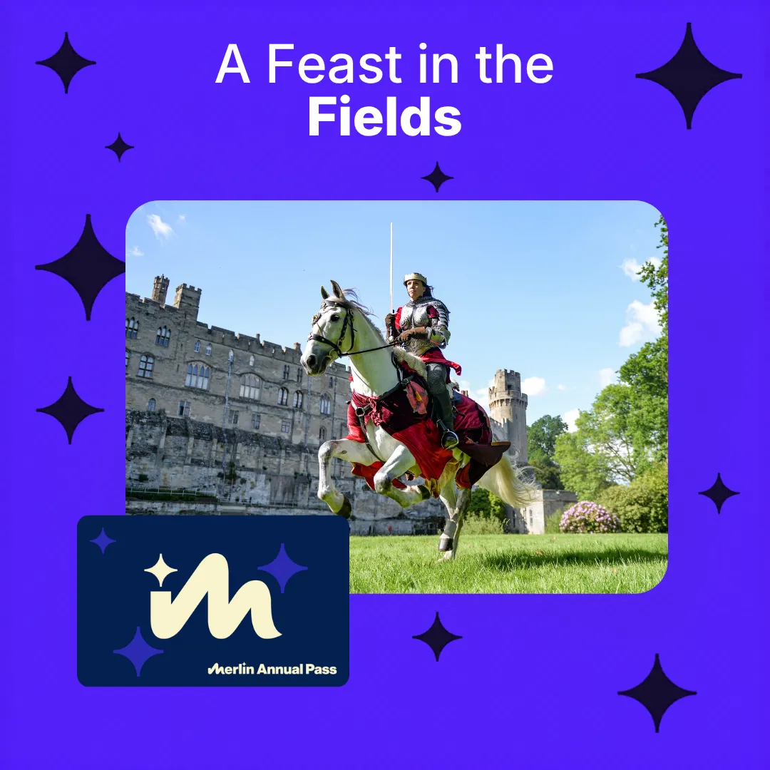 Feast In The Fields (1)