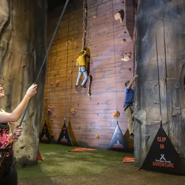 Rock Climbing Experience at Bear Grylls Adventure in Birmingham