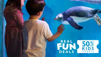 SEA LIFE Summer Of Fun