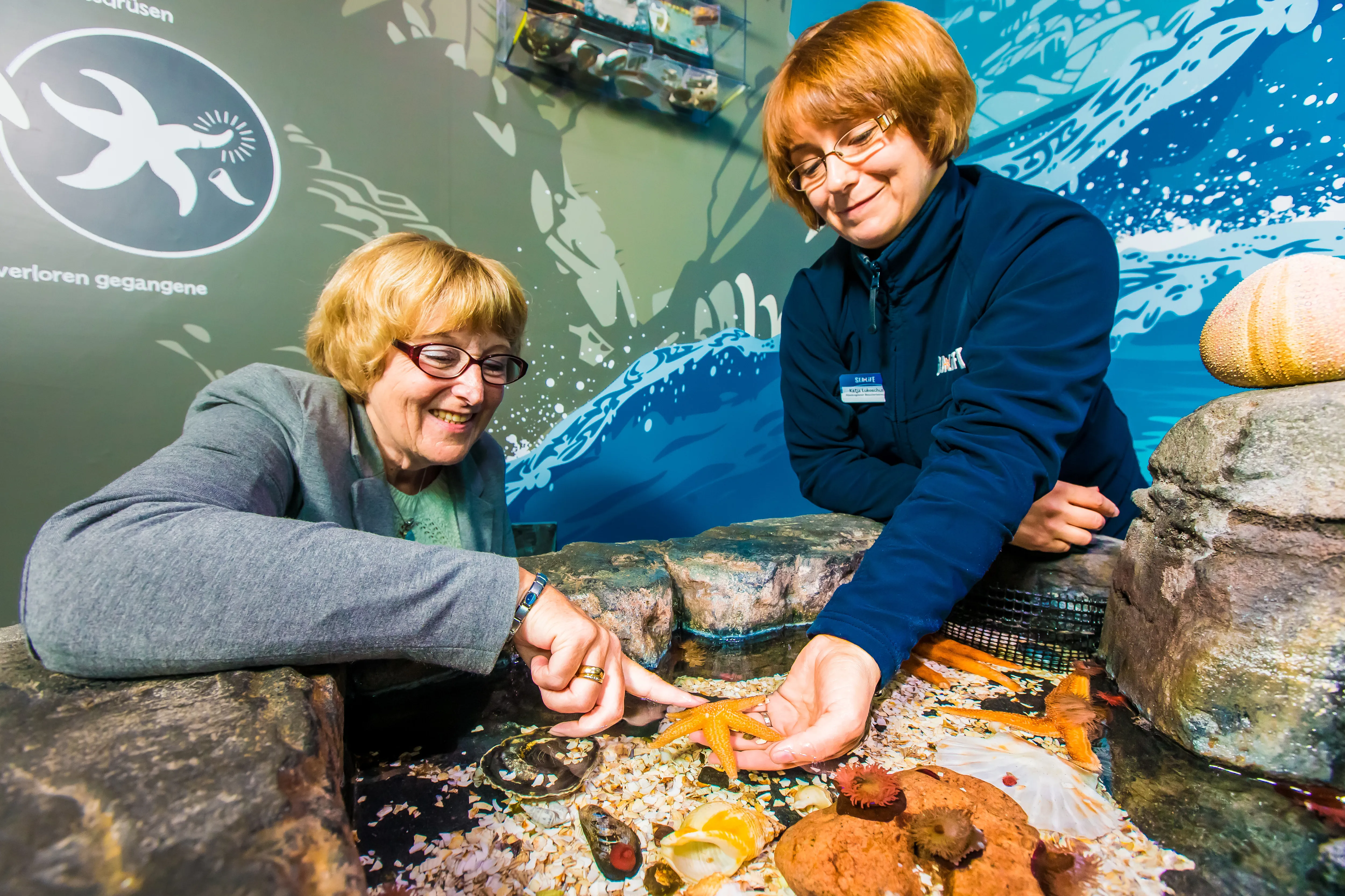 Touchpool at the National SEA LIFE Centre Birmingham