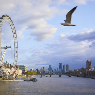 22747 London Eye 1A Wheel 007 Rgb Ns.Psd