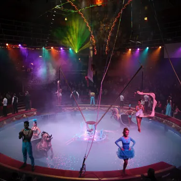 The Blackpool Tower Circus