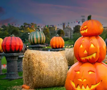 Scarefest 2