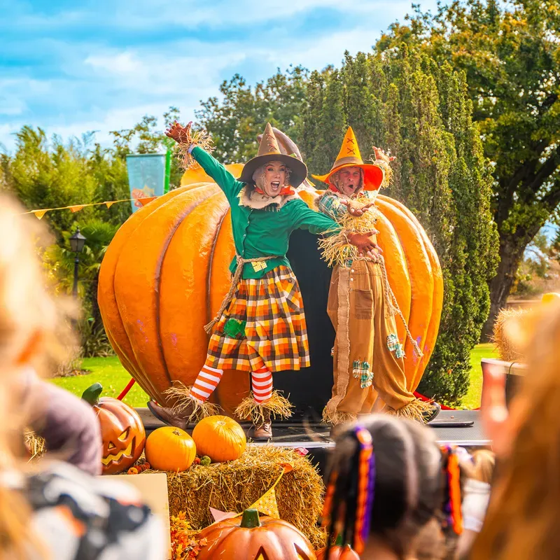 Cwoa Halloween Barnyard Boogie Hero