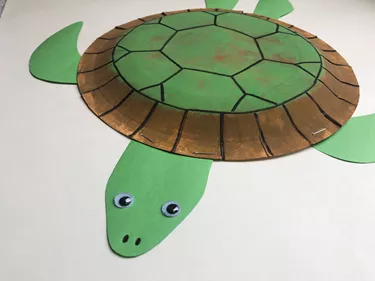 How to create a turtle