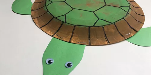 How to create a turtle