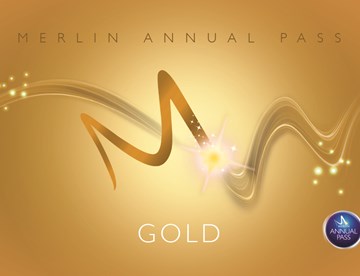 Merlin Gold Pass