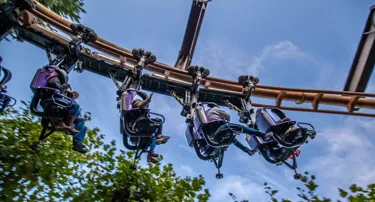 Vampire at Chessington World of Adventures Resort