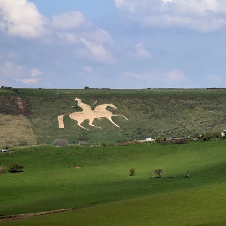 Things to do in the South with a Merlin Annual Pass
