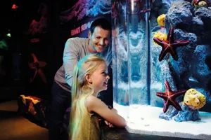 SEA LIFE Brighton