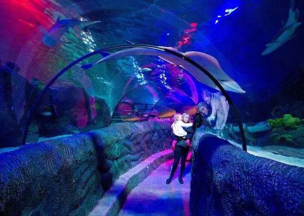 Ocean Tunnel at SEA LIFE Loch Lomond