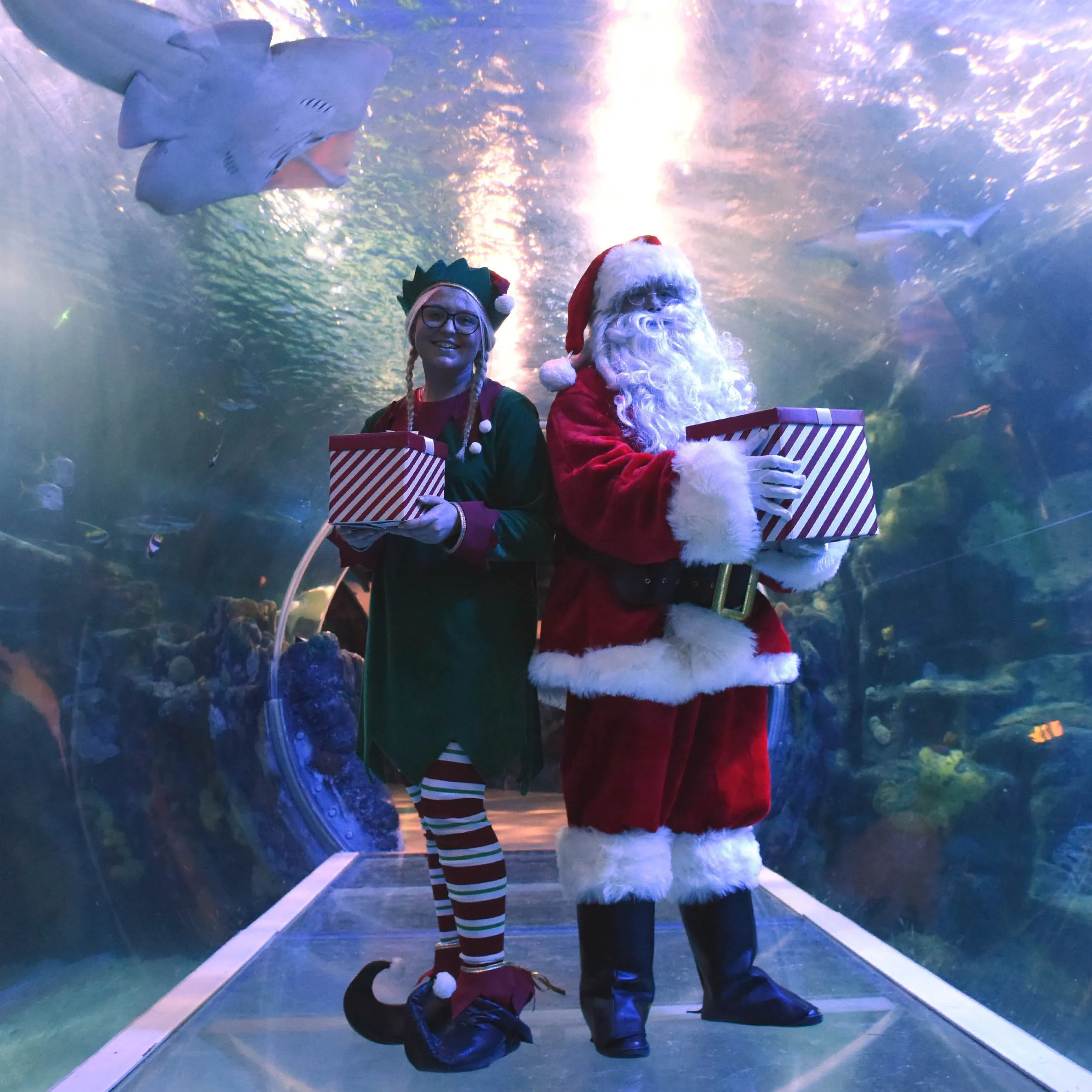 Santa And An Elf In The Ocean Tunnel At SEA LIFE