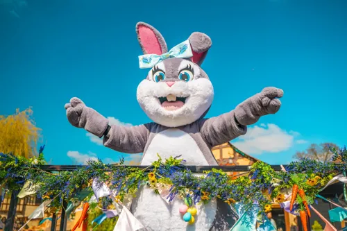 A person in a bunny garment

AI-generated content may be incorrect.