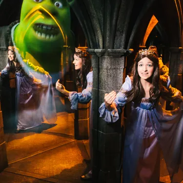 Shrek's Adventure! London Sleeping Beauty In Mirror Maze