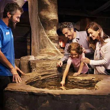 Rockpool at SEA LIFE London