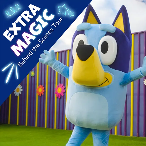Bluey BTS Tour Crm