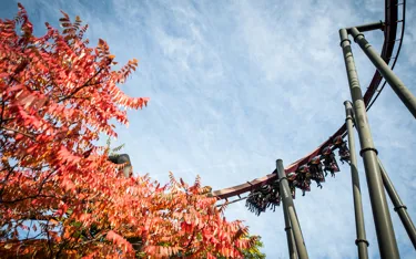 Autumn at THORPE PARK Resort