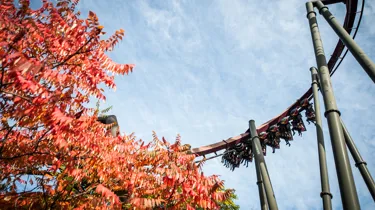 Autumn at THORPE PARK Resort