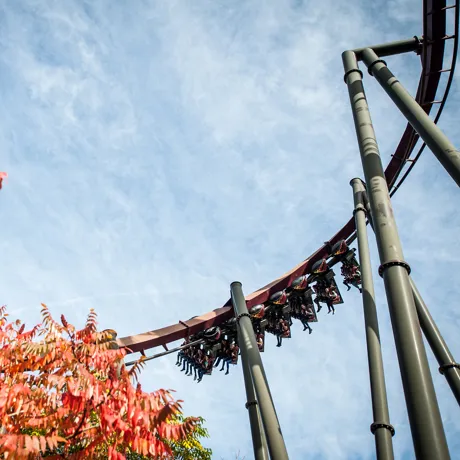 Autumn at THORPE PARK Resort
