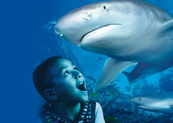 SEA LIFE Bray