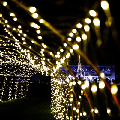 Outdoor Light Trail during Christmas at Warwick Castle