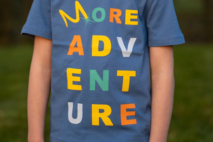 Merlin annual pass t-shirt
