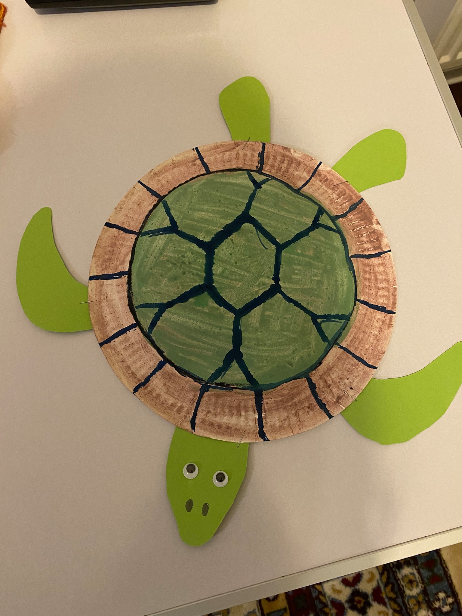 Turtle Winner Get Creative