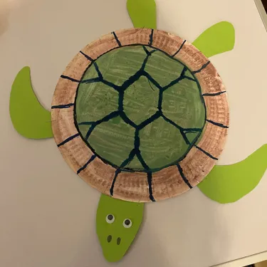 Turtle Winner Get Creative