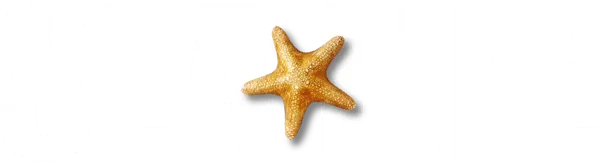 SEA LIFE Logo