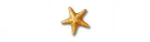 SEA LIFE Logo