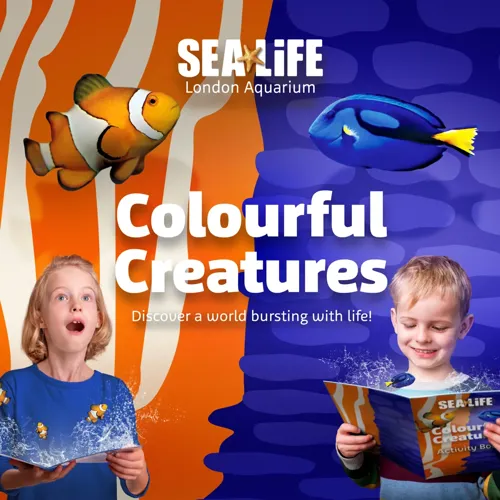 A children holding a book

AI-generated content may be incorrect.