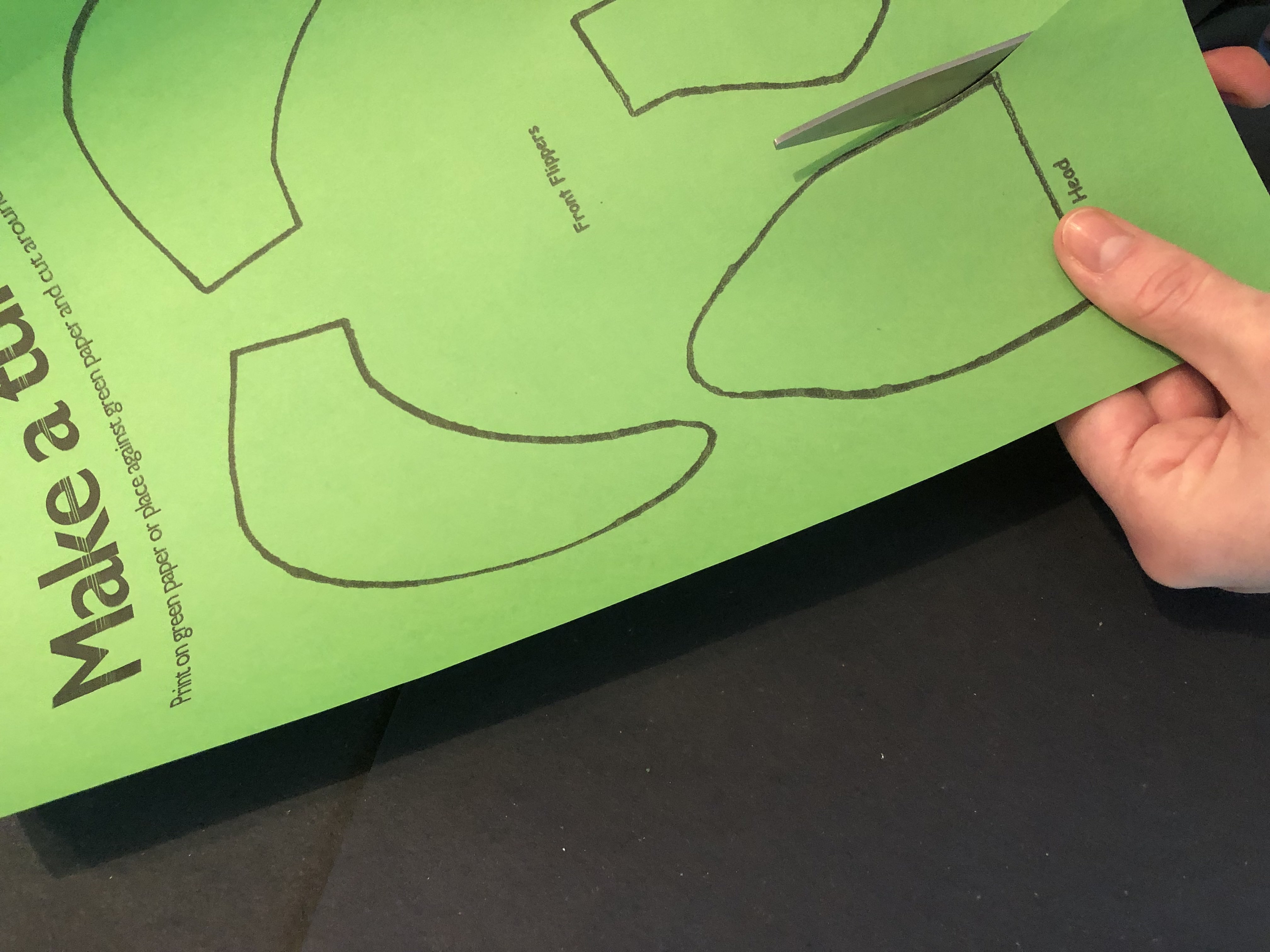 Create a Turtle Step 3: Print out the attachment on green paper or card. Then cut out the turtle’s wings and flippers (you can draw your own if you like and colour them green!).