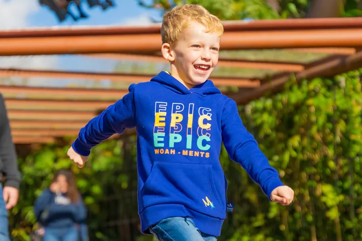 Merlin Annual Pass Kids Hoody