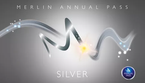 Merlin Silver Pass