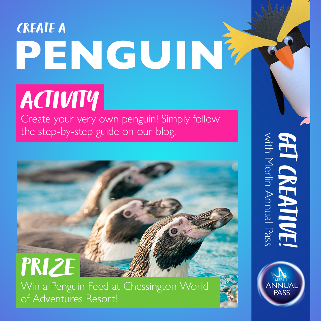 Get Creative with Merlin Annual Pass Activity 2: Create a Penguin