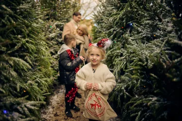 LEGOLAND At Christmas