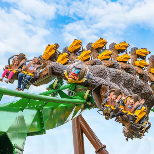 Friends And Fam Tickets