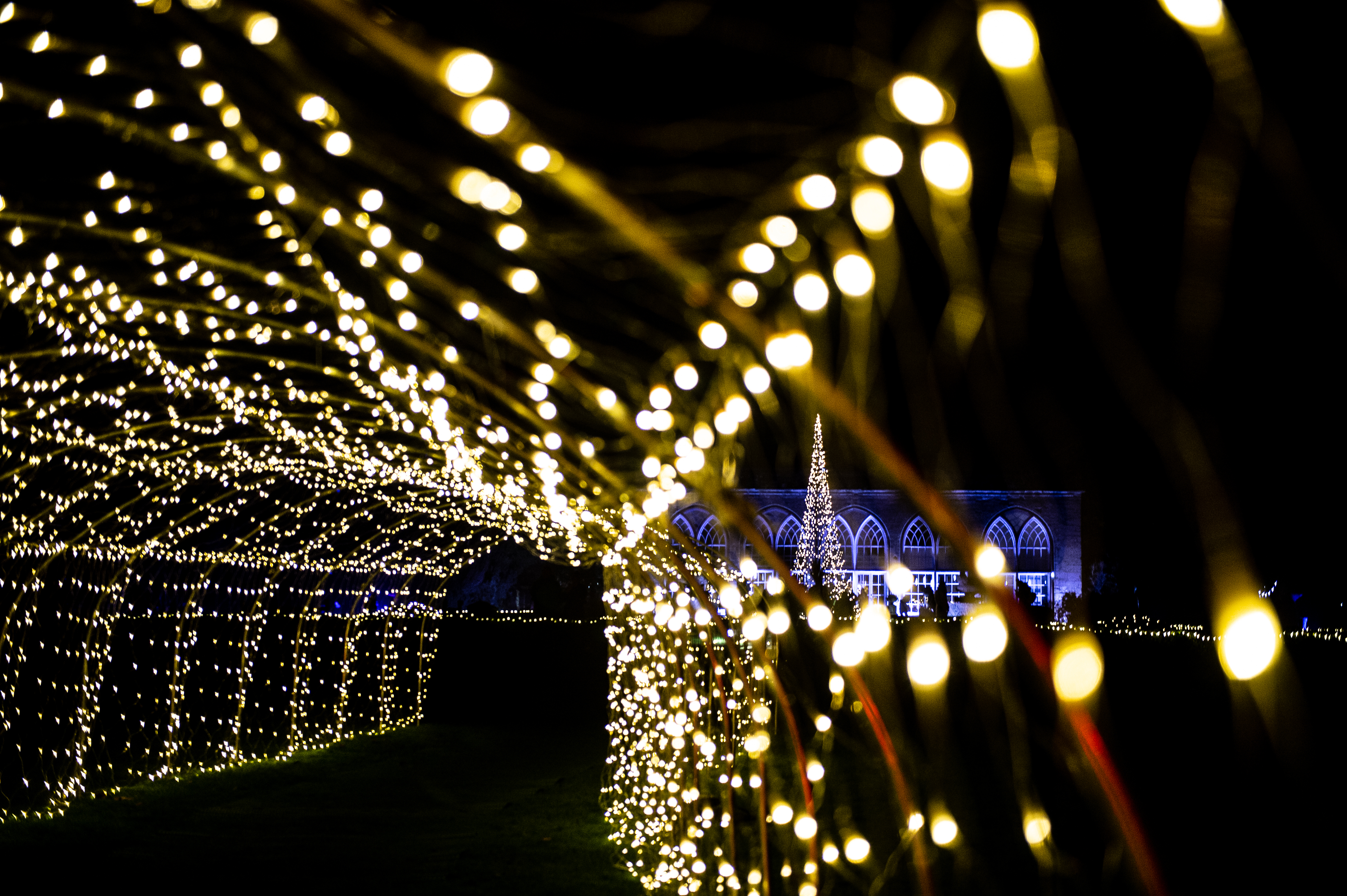 Light Trail at Christmas at the Castle at Warwick Castle