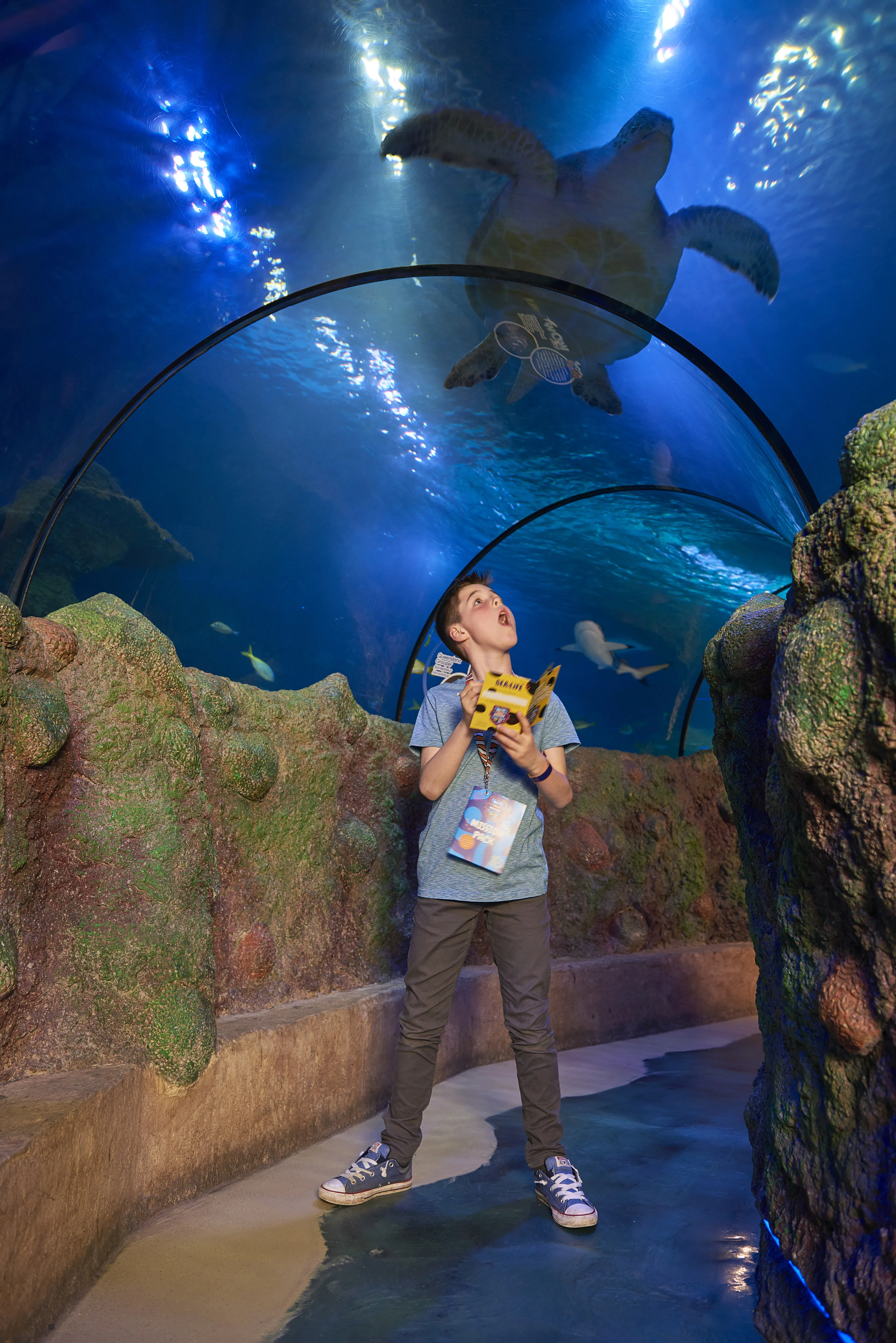 Ocean Tunnel at SEA LIFE Manchester