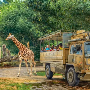 ZUFARI at Chessington World of Adventures Resort