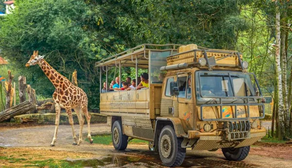 ZUFARI at Chessington World of Adventures Resort