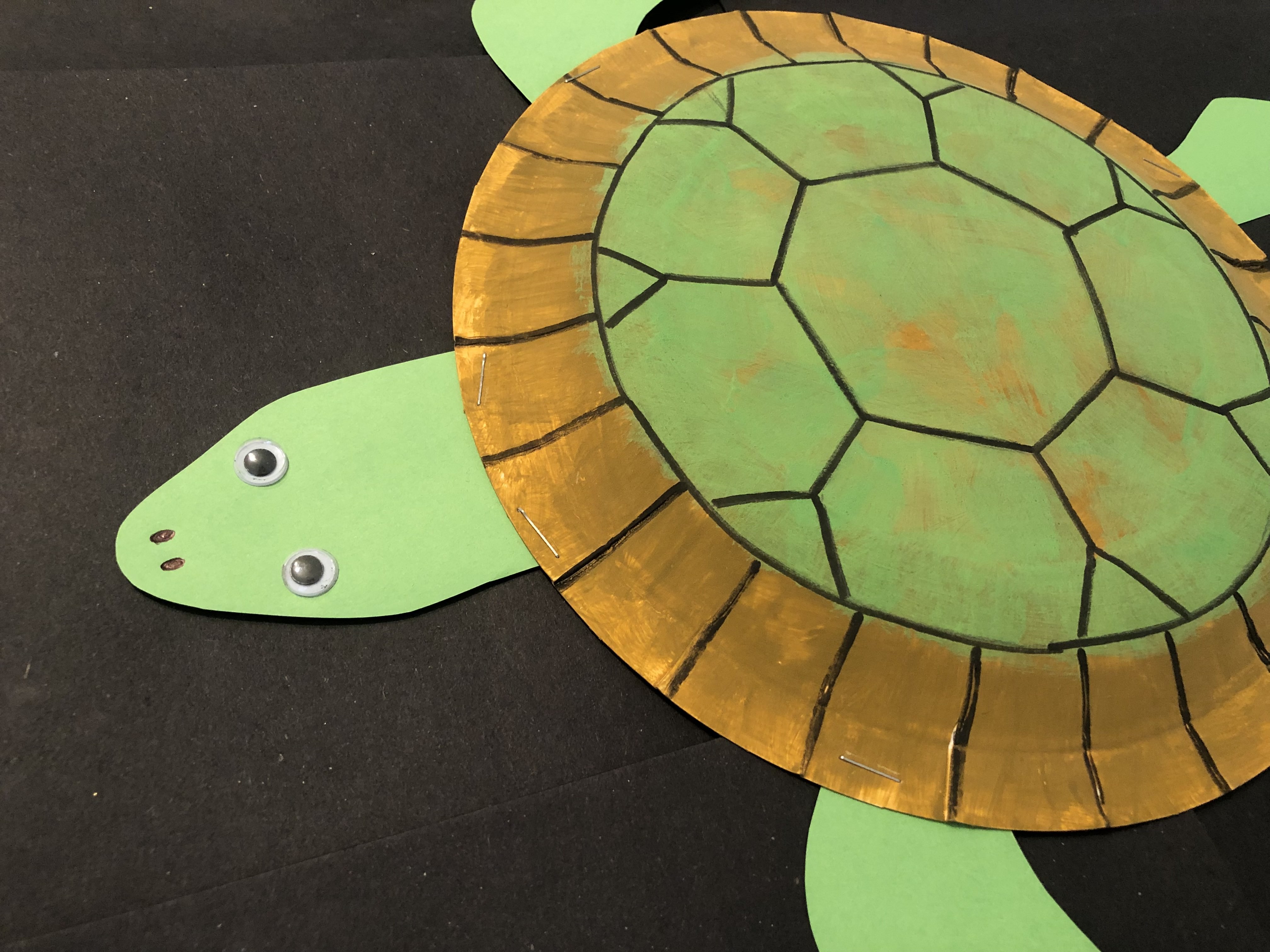 Create a Turtle Step 6: Lastly, add goggly eyes and detail to the turtle!