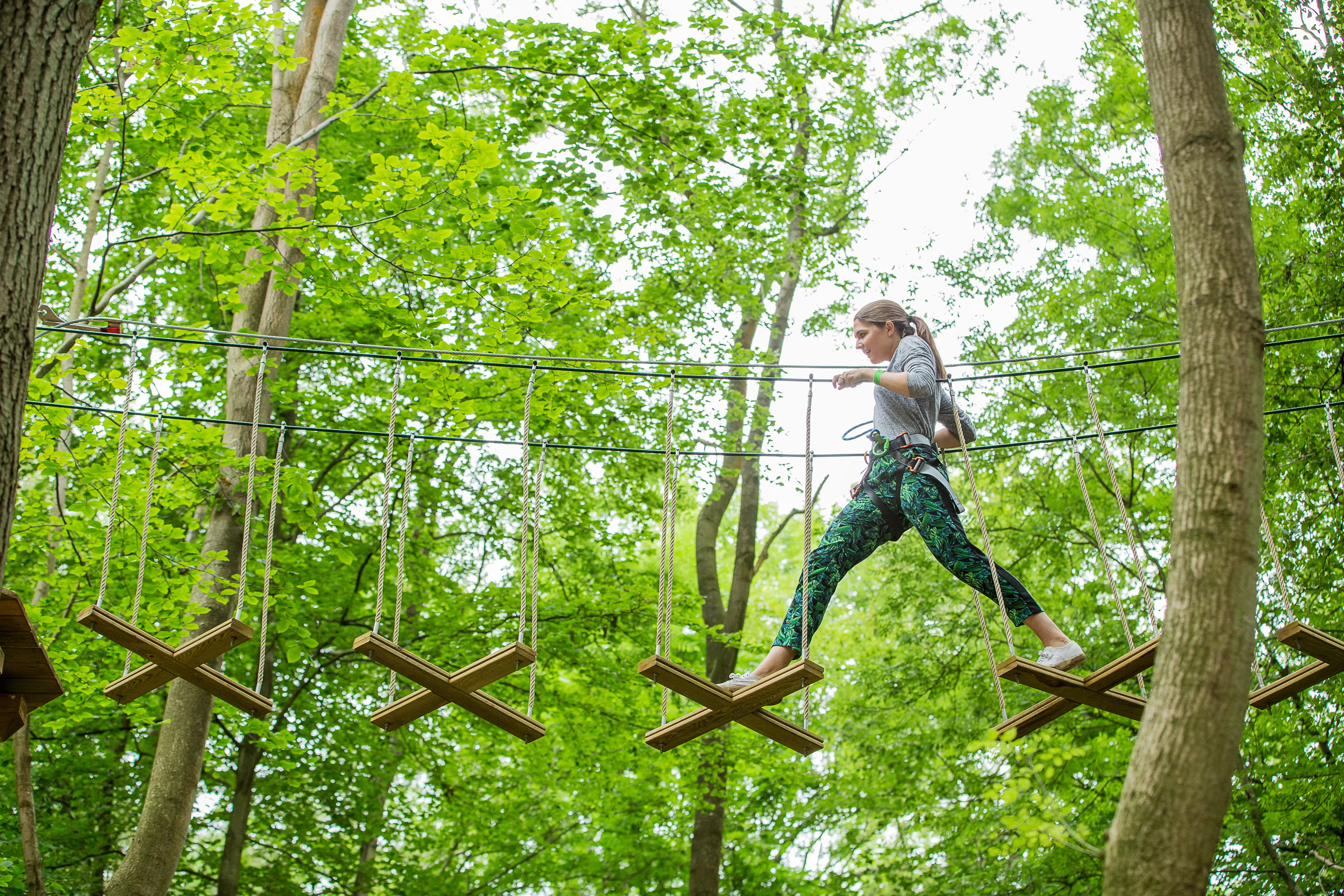 Go Ape At Chessington World Of Adventures Resort