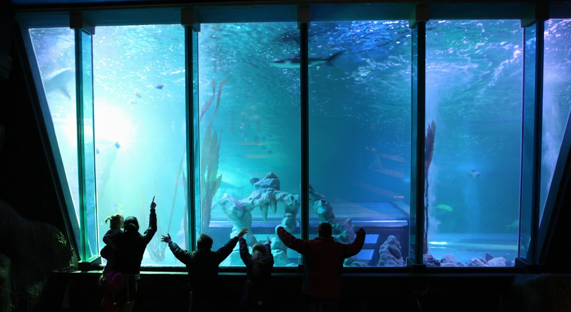 SEA LIFE Blackpool